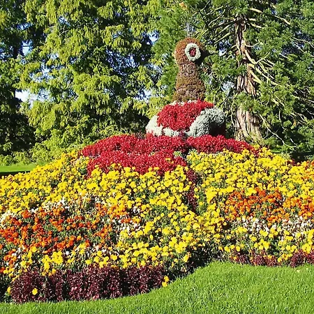Oefingen, Bad Dürrheim